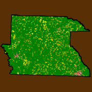 Dallas County Land Use