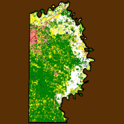 Miller County Land Use