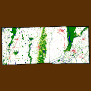 Poinsett County Land Use