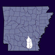 State-Level Map - Lower Saline