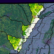 Watershed Land Use Map - Lower Black